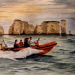 Diving Rib off Old Harry Rocks