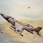 Harrier over the Falklands