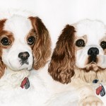 Cavalier King Charles Spaniels