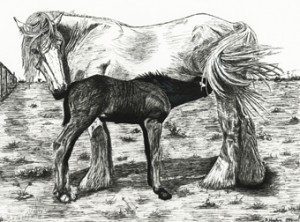 Shire Horse with Foal