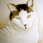 White Cat with Tabby Bonnet